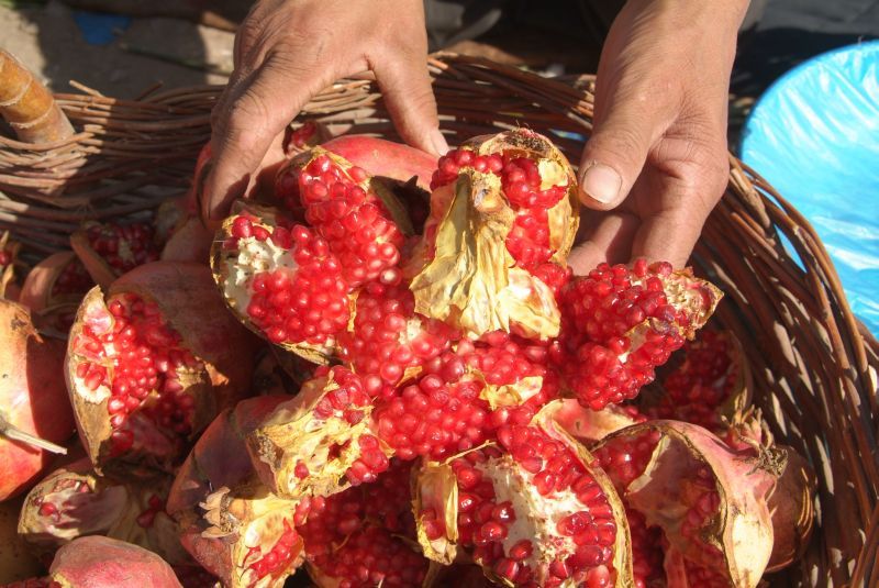china2 031-lecker-granatapfel-hat-erntezeit