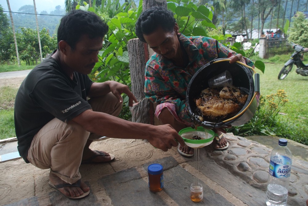 Sumatra Indonesien Hello Mister 030